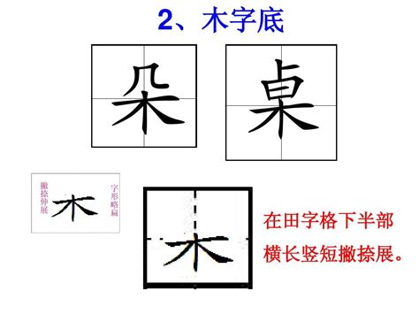 有木字旁的字|木字旁的字有哪些